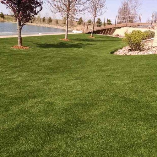 SyntheticTurf_LawnLandscaping05